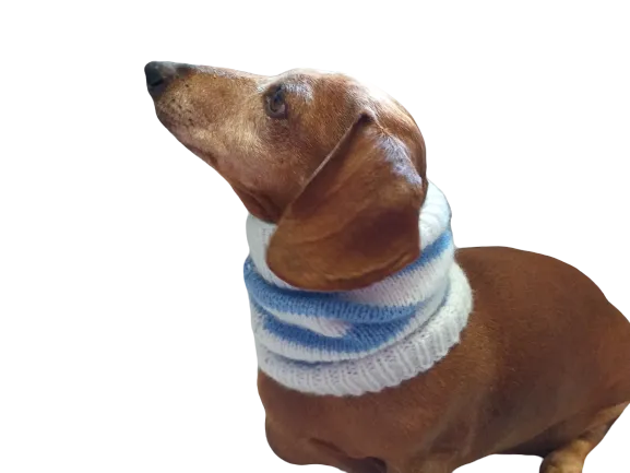 Handmade angora snood scarf for dogs, Snood Warm Winter Knitted Dog Hat Warm Ears Dachshund Snood Hat