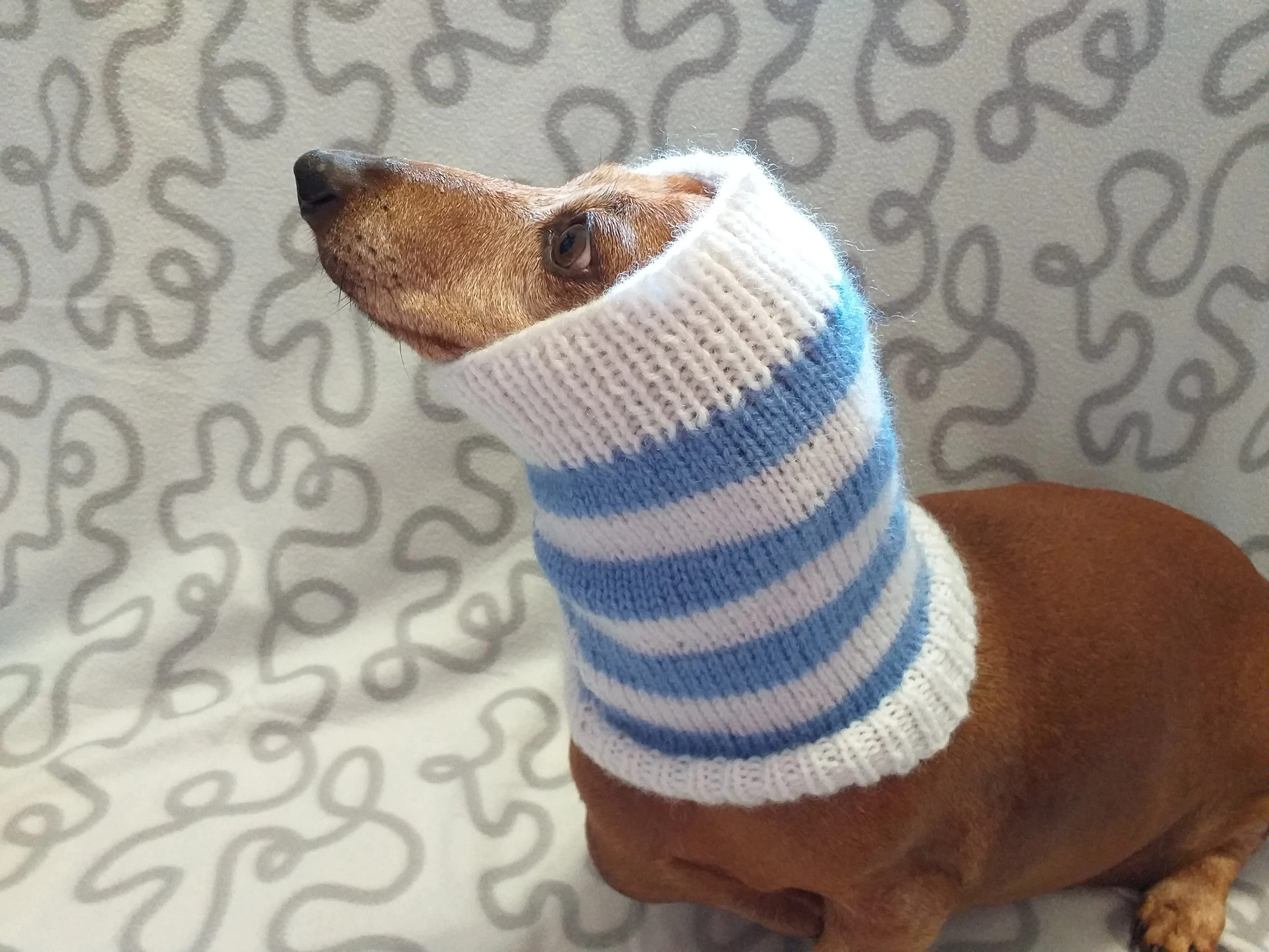 Handmade angora snood scarf for dogs, Snood Warm Winter Knitted Dog Hat Warm Ears Dachshund Snood Hat